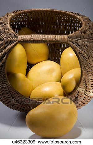 Mangoes View Large Photo Image Stock Photo - Mangoes . Fotosearch