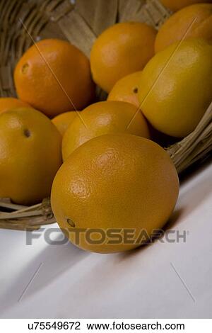 Stock Image - Oranges . Fotosearch