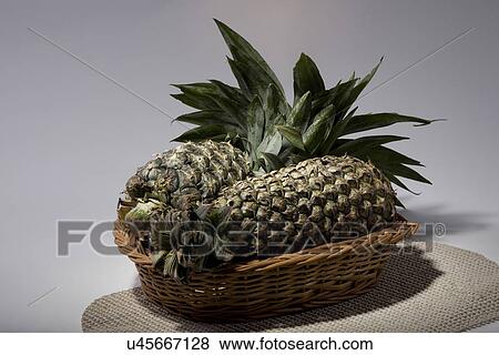 Pineapples in a basket View Large Photo Image Stock Photo - Pineapples in a basket . Fotosearch