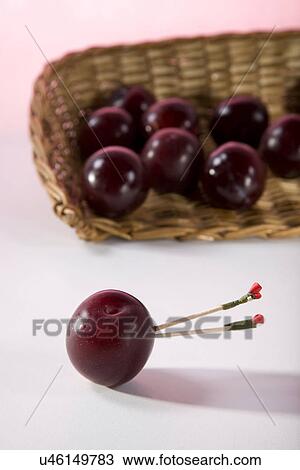 Plums in a basket View Large Photo Image Stock Image - Plums in a basket . Fotosearch