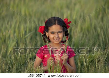 Portrait of a little Indian girl holding wheat stalks View Large Photo Image Stock Image - Portrait of a little Indian girl holding wheat stalks . Fotosearch