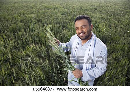 Portrait of an Indian man holding crop plant View Large Photo Image Stock Photo - Portrait of an Indian man holding crop plant . Fotosearch