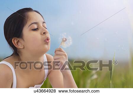 Young girl blowing seeds off a dandelion View Large Photo Image Stock Photo - Young girl blowing seeds off a dandelion . Fotosearch