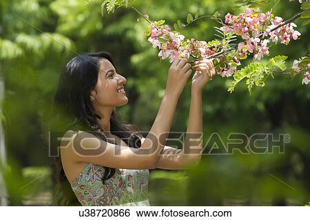 Young woman looking at flowers on a branch View Large Photo Image Stock Photograph - Young woman looking at flowers on a branch . Fotosearch