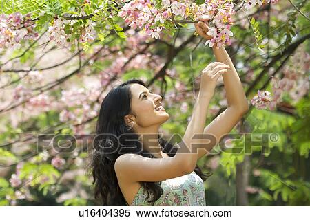 Young woman looking at flowers on a branch View Large Photo Image Stock Photography - Young woman looking at flowers on a branch . Fotosearch