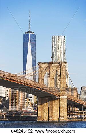 Brooklyn Bridge and One World Trade Center View Large Photo Image Stock Image - Brooklyn Bridge and One World Trade Center. Fotosearch
