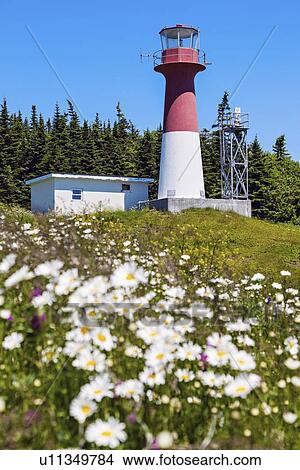 Picture - Cape Spencer Lighthouse . Fotosearch