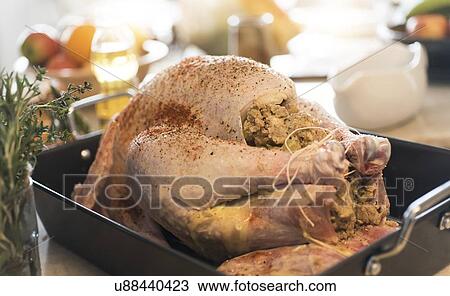 Close up of turkey ready to be baked View Large Photo Image Stock Image - Close up of turkey ready to be baked. Fotosearch