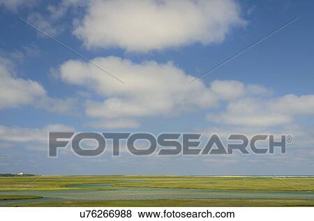 Cloudy sky view over tidal marsh View Large Photo Image Stock Photo - Cloudy sky view over tidal marsh. Fotosearch