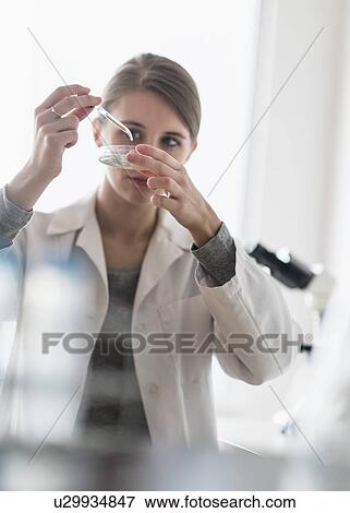 Female lab technician using pipette and petri dish View Large Photo Image Stock Photo - Female lab technician using pipette and petri dish . Fotosearch