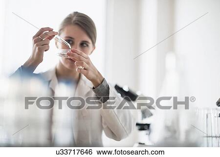 Female lab technician using pipette and petri dish View Large Photo Image Stock Photograph - Female lab technician using pipette and petri dish . Fotosearch