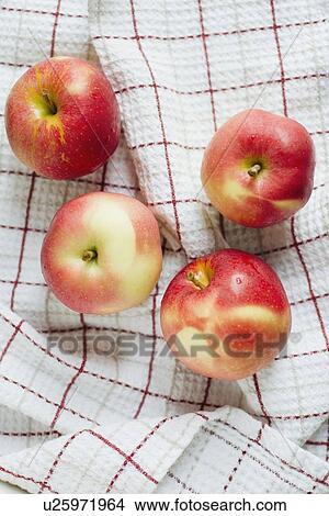 Four red apples View Large Photo Image Picture - Four red apples. Fotosearch