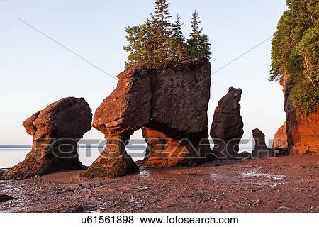 Hopewell Rocks with trees on top at sunrise View Large Photo Image Stock Photo - Hopewell Rocks with trees on top at sunrise. Fotosearch