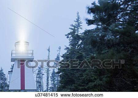 Low angle view of lighthouse by forest View Large Photo Image Stock Photography - Low angle view of lighthouse by forest. Fotosearch