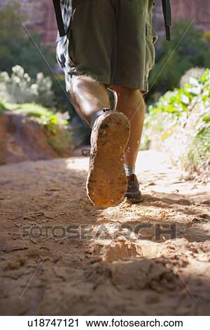 Man hiking in forest View Large Photo Image Stock Image - Man hiking in forest. Fotosearch