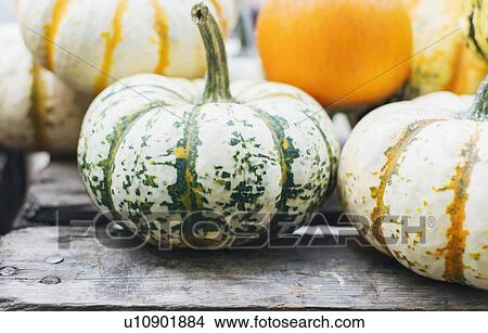 Pumpkins on table View Large Photo Image Picture - Pumpkins on table. Fotosearch