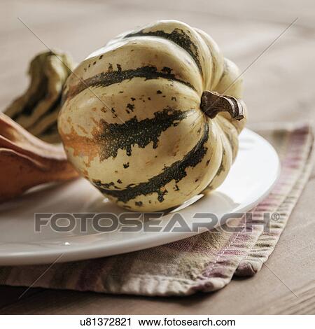 Studio shot of gourds View Large Photo Image Stock Image - Studio shot of gourds. Fotosearch