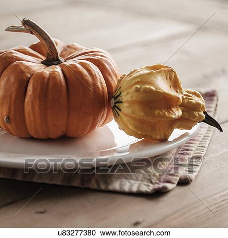 Studio shot of gourds View Large Photo Image Stock Image - Studio shot of gourds. Fotosearch