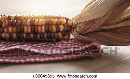 Studio shot of indian corn View Large Photo Image Stock Photography - Studio shot of indian corn. Fotosearch