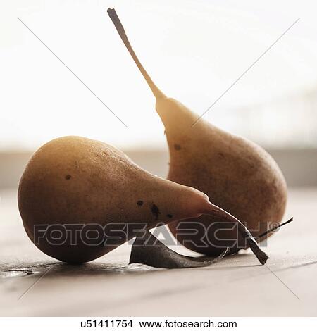 Studio shot of pears View Large Photo Image Picture - Studio shot of pears. Fotosearch