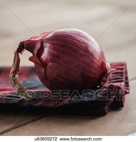Studio shot of red onion View Large Photo Image Stock Image - Studio shot of red onion. Fotosearch