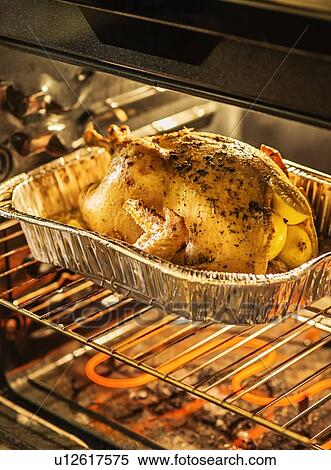 Turkey in oven View Large Photo Image Stock Photography - Turkey in oven. Fotosearch