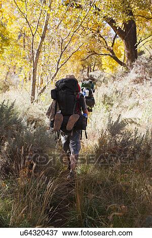 Two people hiking in forest View Large Photo Image Stock Photo - Two people hiking in forest. Fotosearch