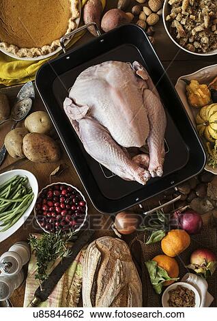 View of preparation of thanksgiving turkey View Large Photo Image Stock Image - View of preparation of thanksgiving turkey. Fotosearch