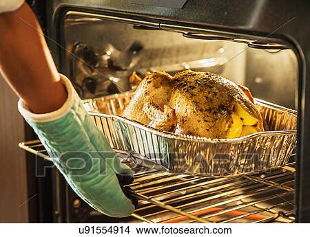 Woman checking turkey in oven View Large Photo Image Picture - Woman checking turkey in oven. Fotosearch
