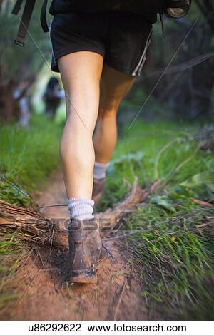 Woman hiking in forest View Large Photo Image Stock Image - Woman hiking in forest. Fotosearch