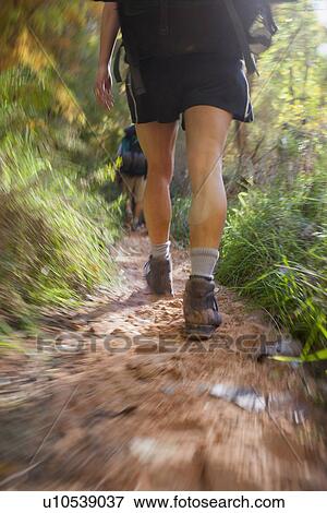 Woman hiking in forest View Large Photo Image Stock Photo - Woman hiking in forest. Fotosearch