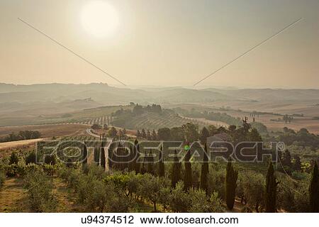 Aerial view of rural vineyards View Large Photo Image Stock Image - Aerial view of rural vineyards. Fotosearch