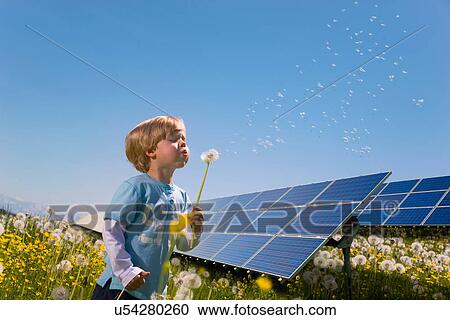 Boy in field with solar panels View Large Photo Image Stock Image - Boy in field with solar panels. Fotosearch