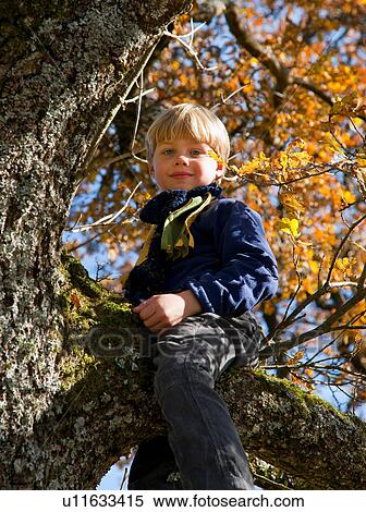 Boy playing in tree View Large Photo Image Stock Photography - Boy playing in tree. Fotosearch