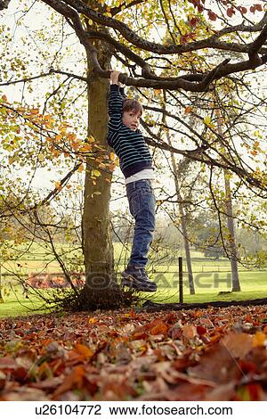Boy playing on tree outdoors View Large Photo Image Stock Image - Boy playing on tree outdoors. Fotosearch
