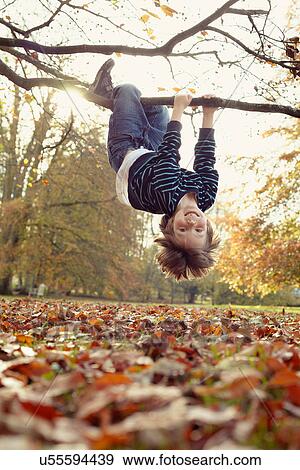 Stock Photo - Boy playing on tree outdoors. Fotosearch