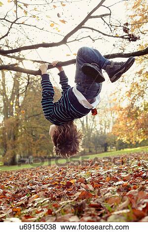 Stock Photo - Boy playing on tree outdoors. Fotosearch