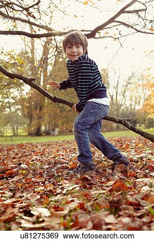 Stock Photo - Boy playing on tree outdoors. Fotosearch