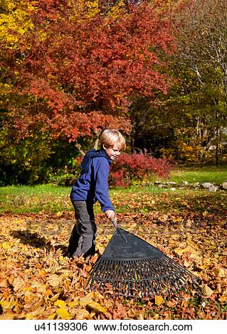Boy raking fall leaves View Large Photo Image Stock Photograph - Boy raking fall leaves. Fotosearch