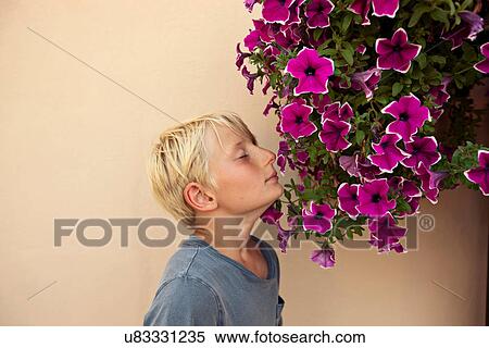 Stock Photography - Boy smelling potted flowers outdoors. Fotosearch