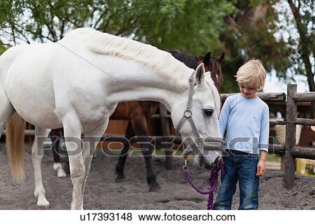Boy walking white horse in yard View Large Photo Image Stock Photo - Boy walking white horse in yard. Fotosearch