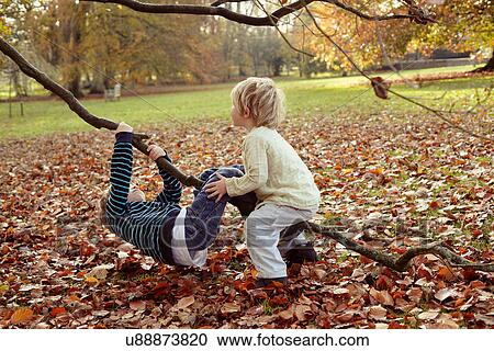 Boys playing on tree outdoors View Large Photo Image Stock Image - Boys playing on tree outdoors. Fotosearch