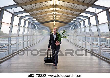 Stock Image - Businessman wheeling luggage with plant. Fotosearch