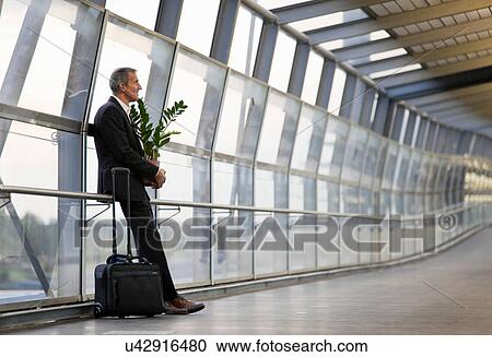 Businessman with luggage and plant View Large Photo Image Stock Image - Businessman with luggage and plant. Fotosearch