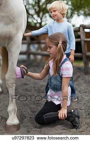 Children brushing horse's coat View Large Photo Image Stock Image - Children brushing horse's coat. Fotosearch