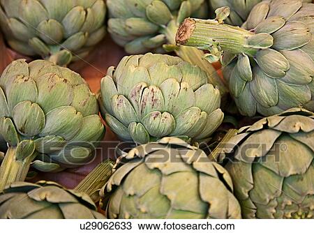 Close up of artichokes View Large Photo Image Stock Image - Close up of artichokes. Fotosearch