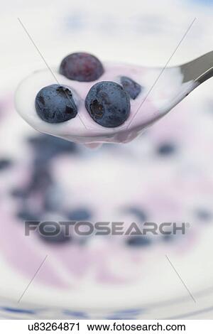 Close up of blueberries and yogurt View Large Photo Image Stock Image - Close up of blueberries and yogurt. Fotosearch