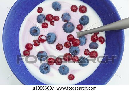 Close up of blueberries and yogurt View Large Photo Image Stock Photo - Close up of blueberries and yogurt. Fotosearch
