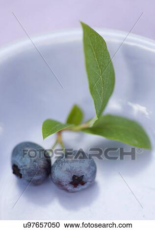 Stock Image - Close up of blueberries. Fotosearch