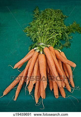 Close up of bunch of carrots View Large Photo Image Stock Image - Close up of bunch of carrots. Fotosearch